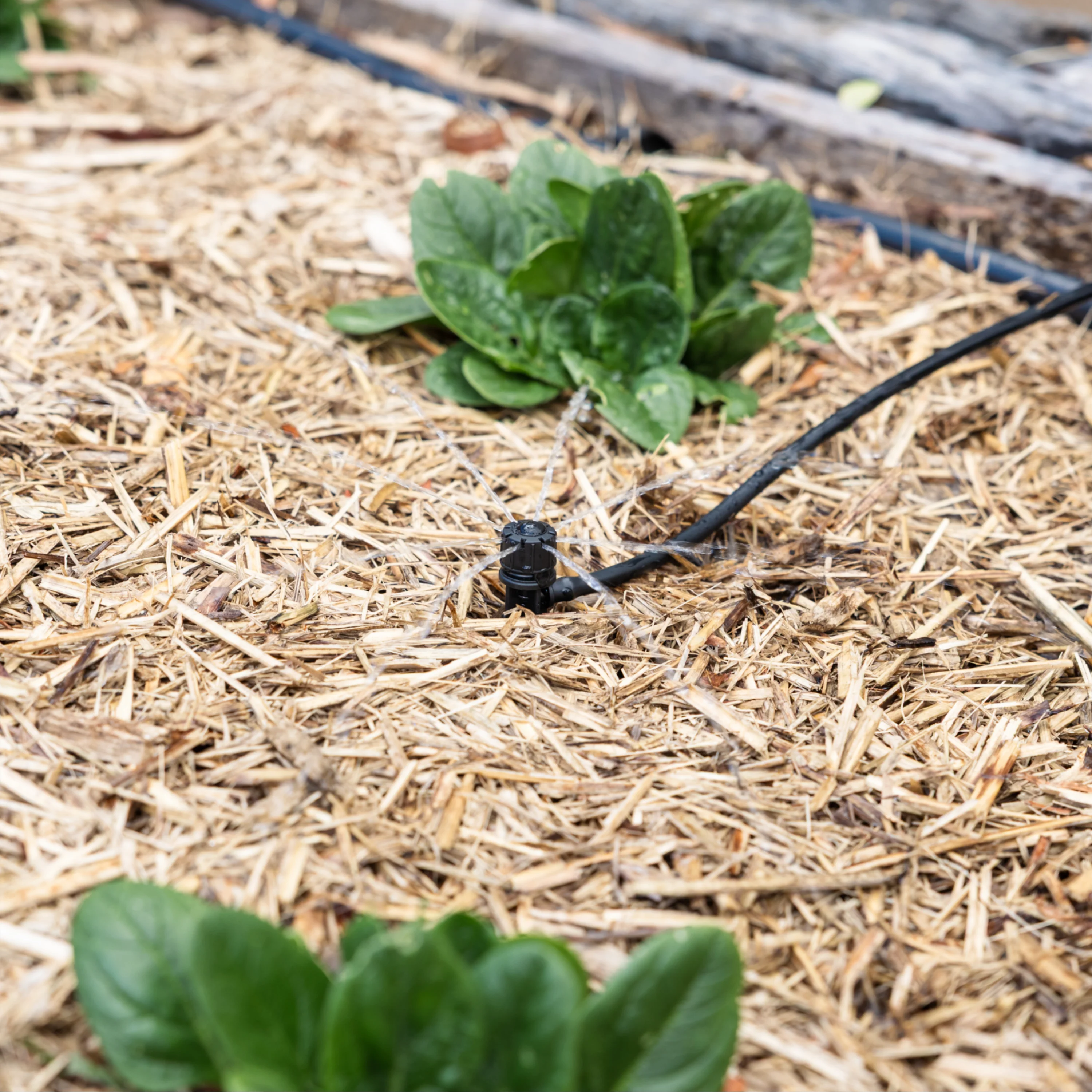 Adjustable Drip Irrigation Kit - Image 4