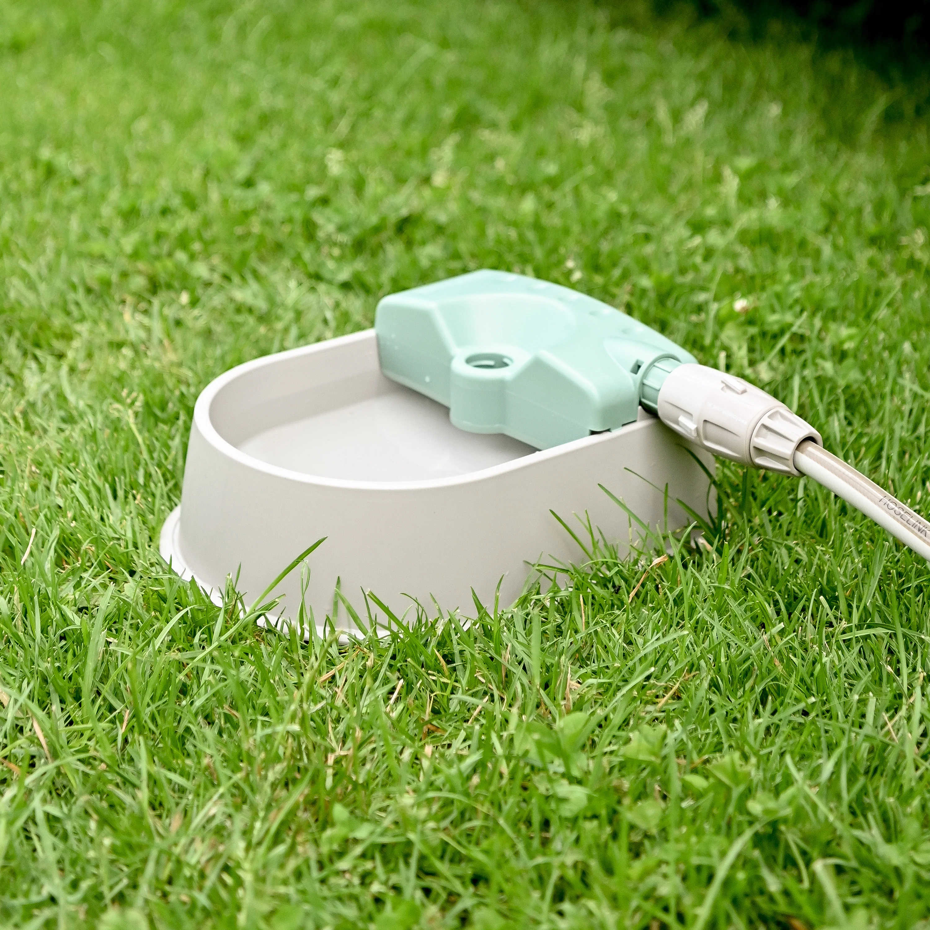 Auto-fill Pet Bowl + 5m Hose & Tap Connector - Image 5