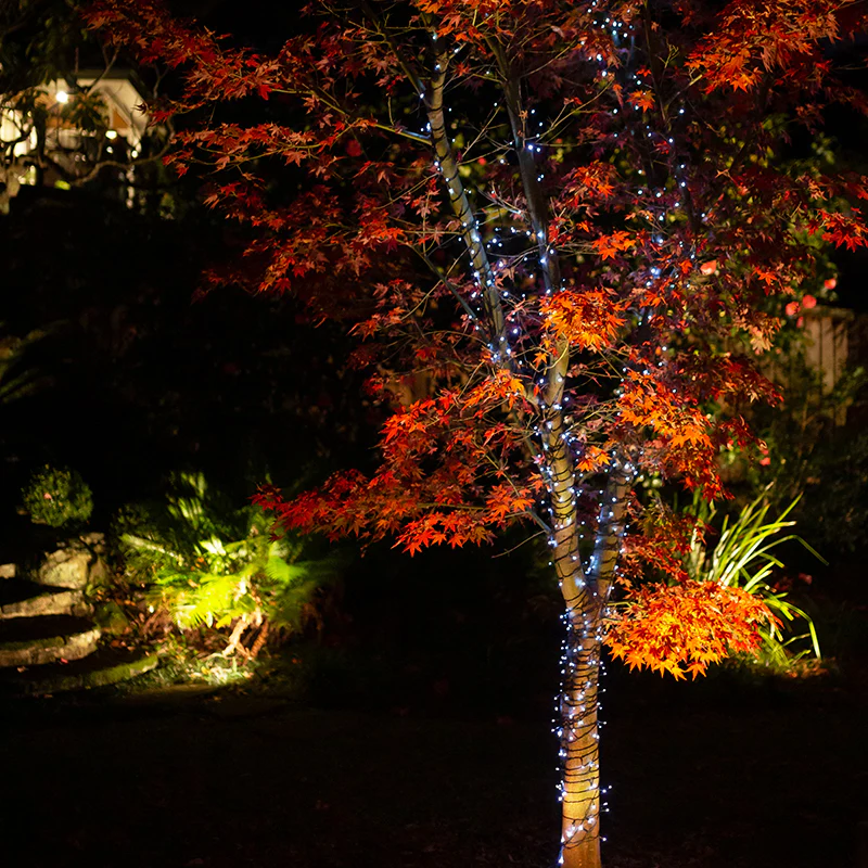 Solar Fairy Lights | Cool White | 150 LED | 16.5m | PIXIE - Image 3