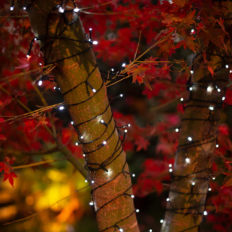Solar Fairy Lights | Cool White | 150 LED | 16.5m | PIXIE - Image 4
