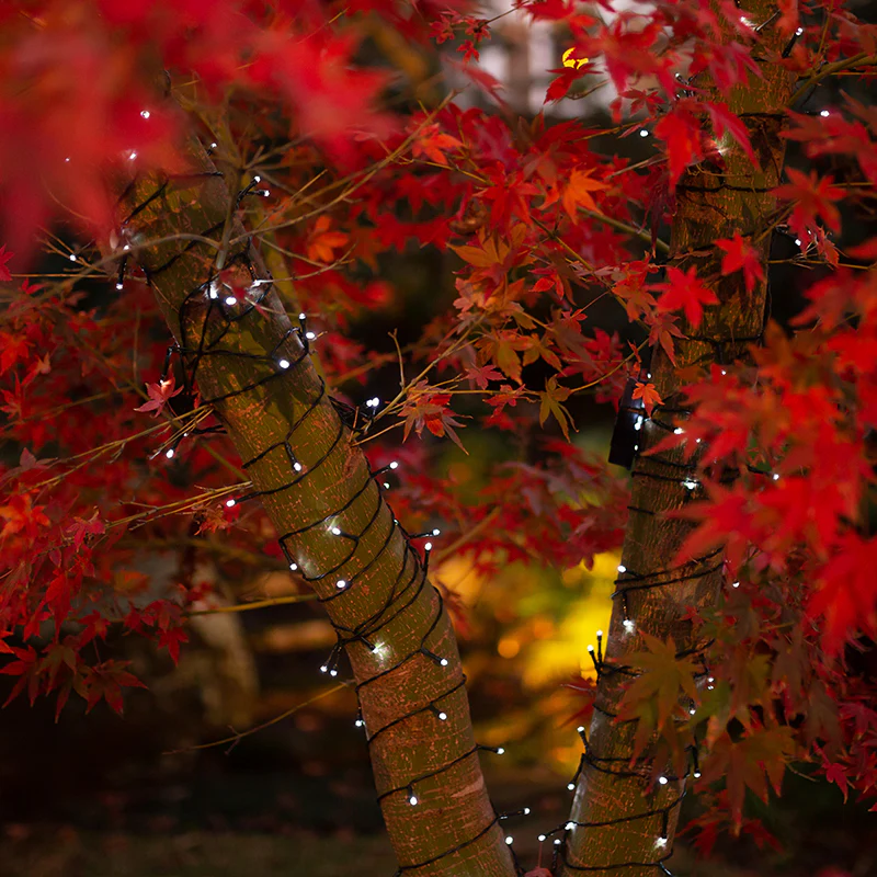 Solar Fairy Lights | Cool White | 150 LED | 16.5m | PIXIE - Image 5
