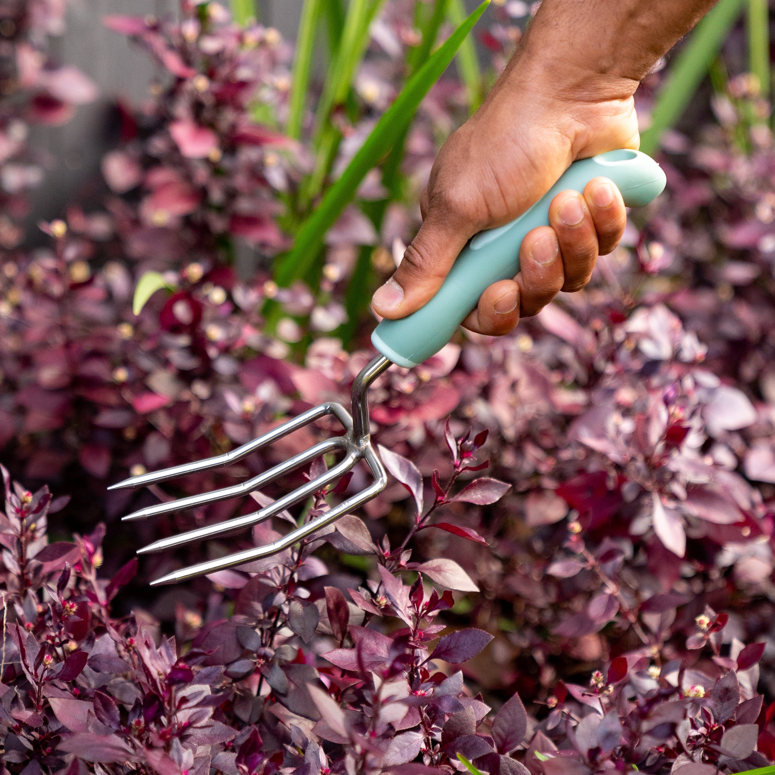 Garden Fork - Image 3