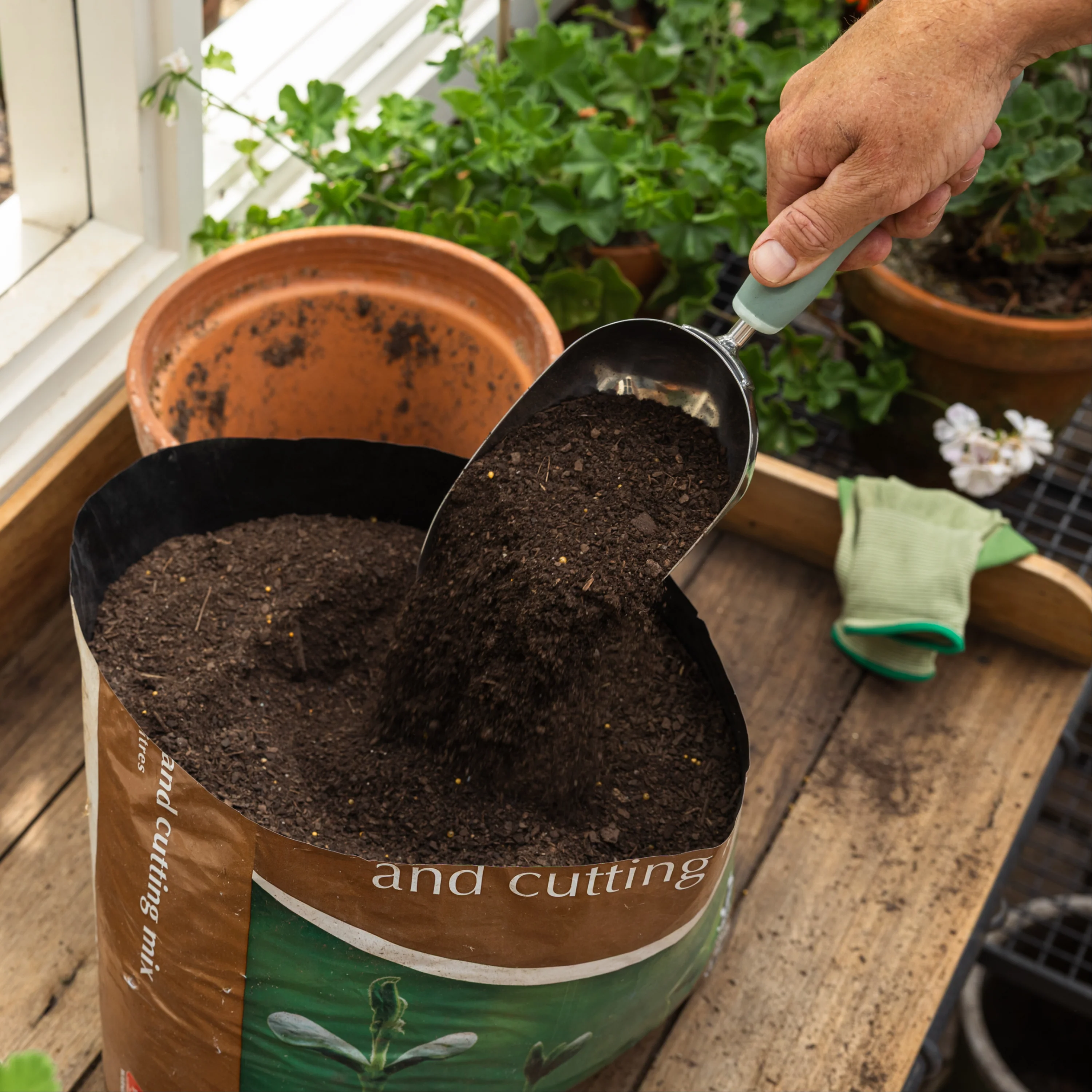 Large Potting Scoop - Image 4