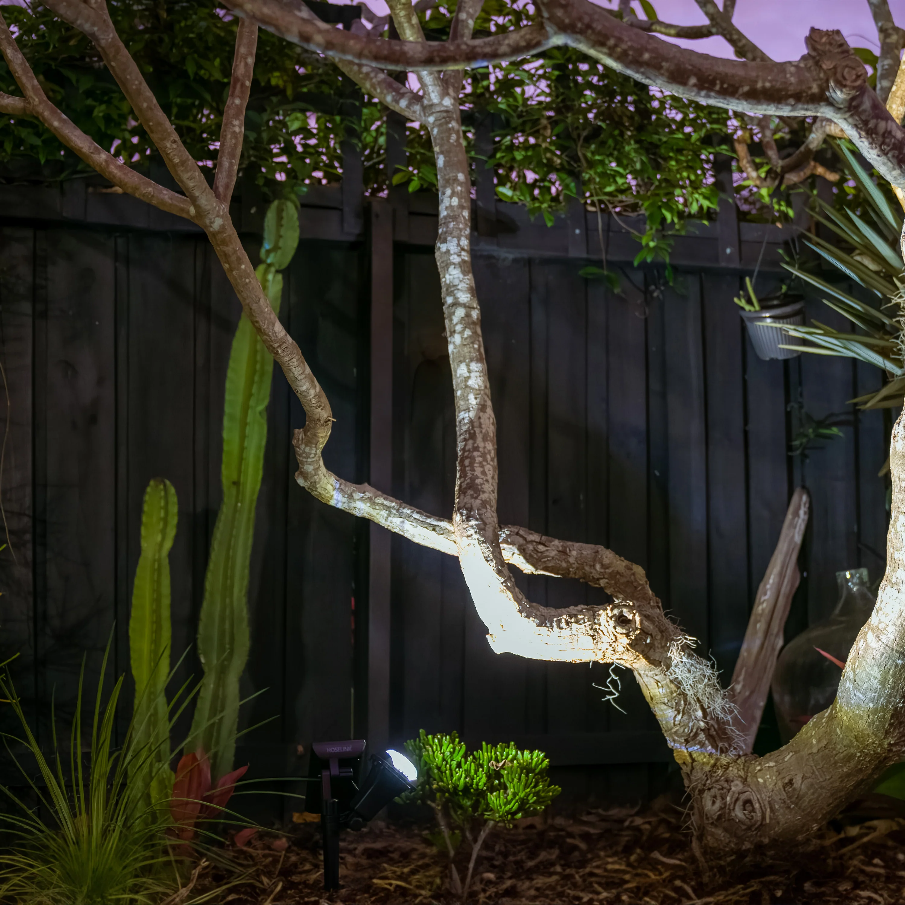 Adjustable Solar Garden Spotlight | Ground Spike | 5LED | FOCUS - Image 4