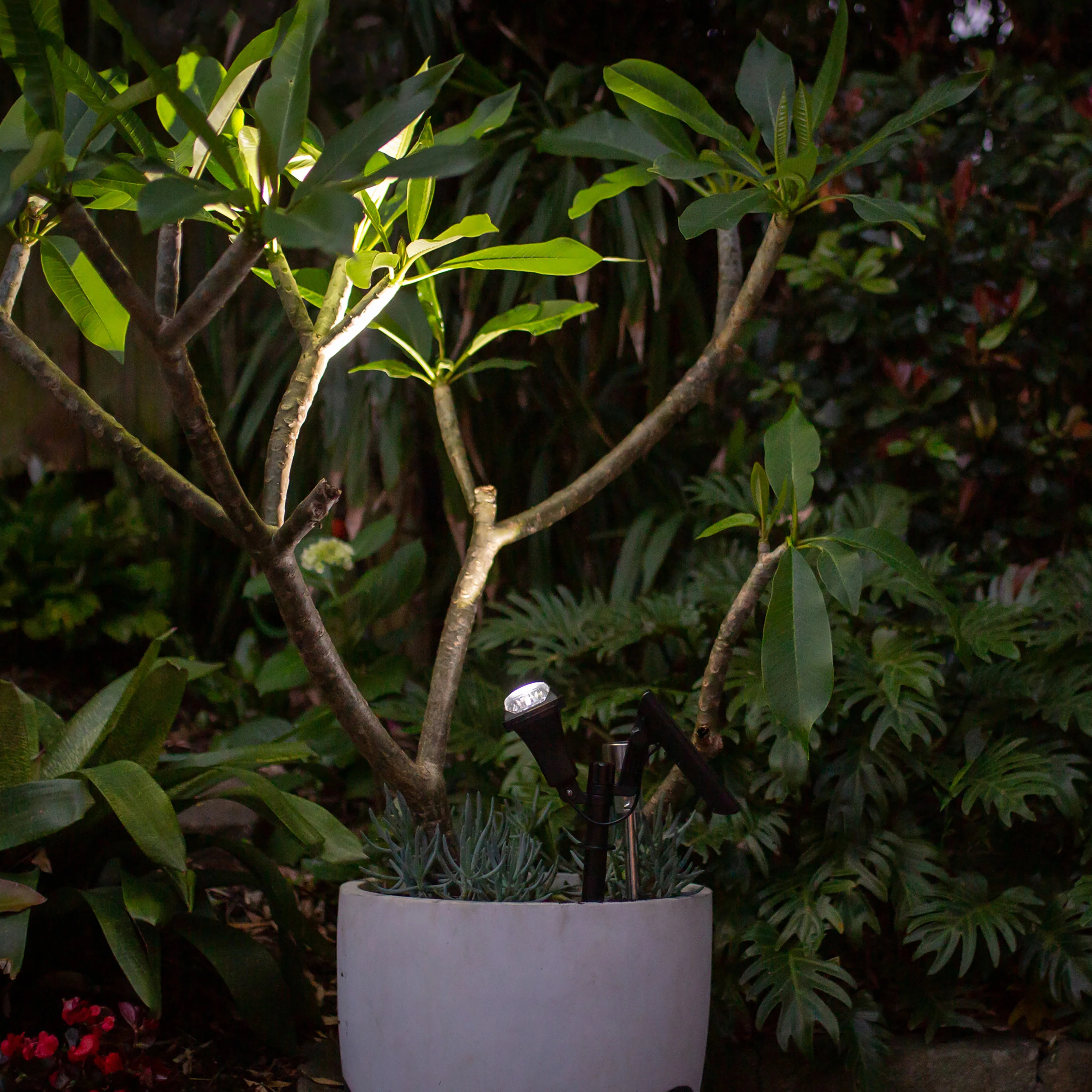 Adjustable Solar Garden Spotlight | Ground Spike | 5LED | FOCUS - Image 5