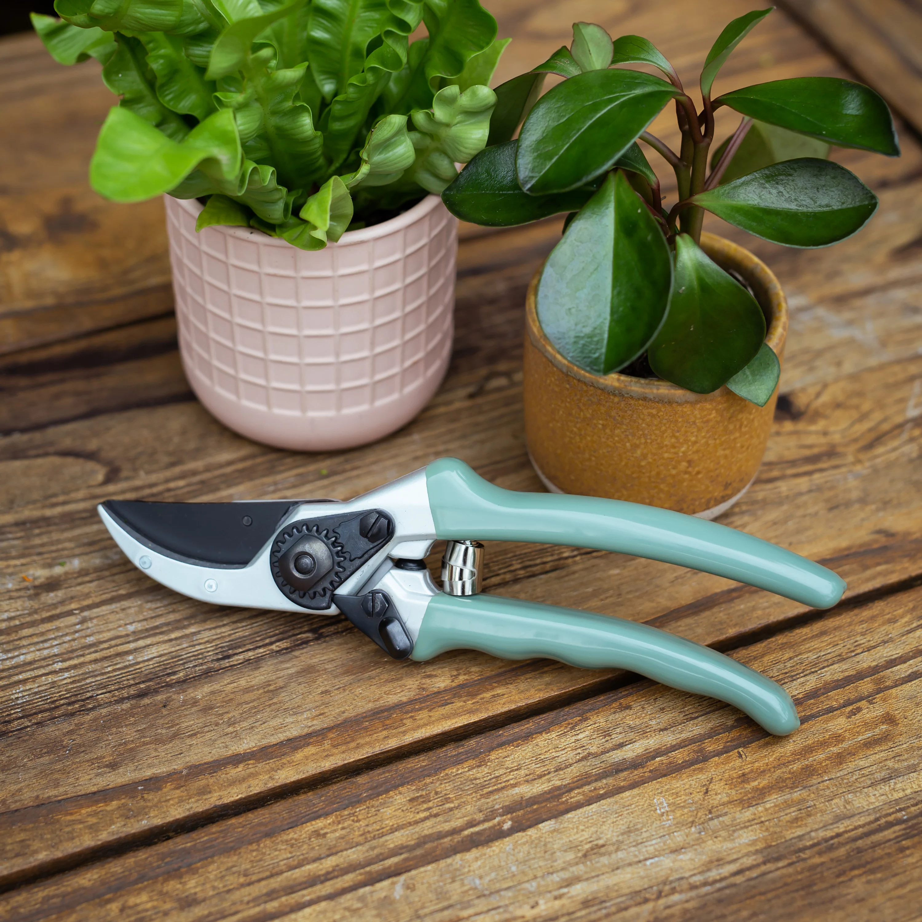 Secateurs 225mm | Sage - Image 3
