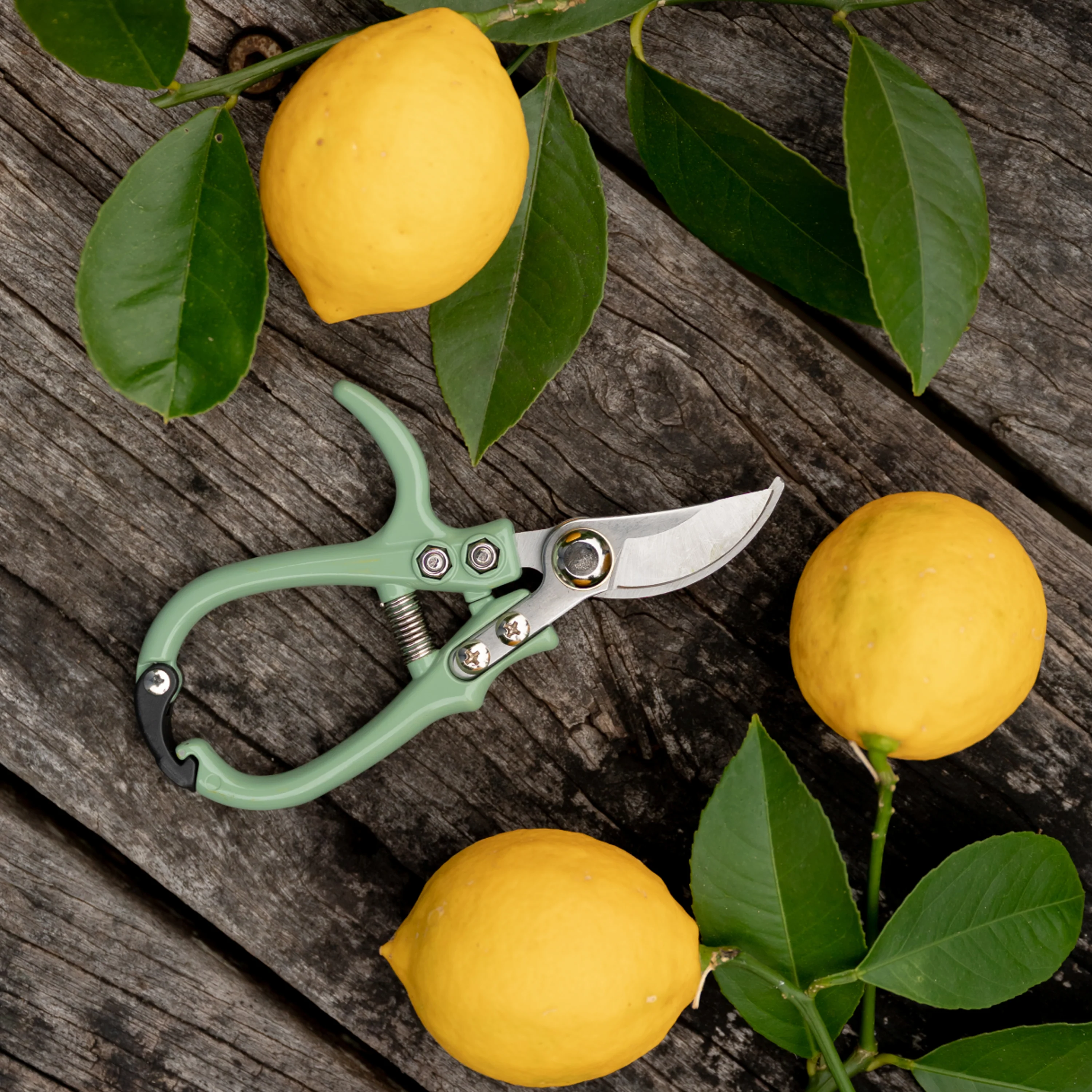 Handy Snippers - Image 5
