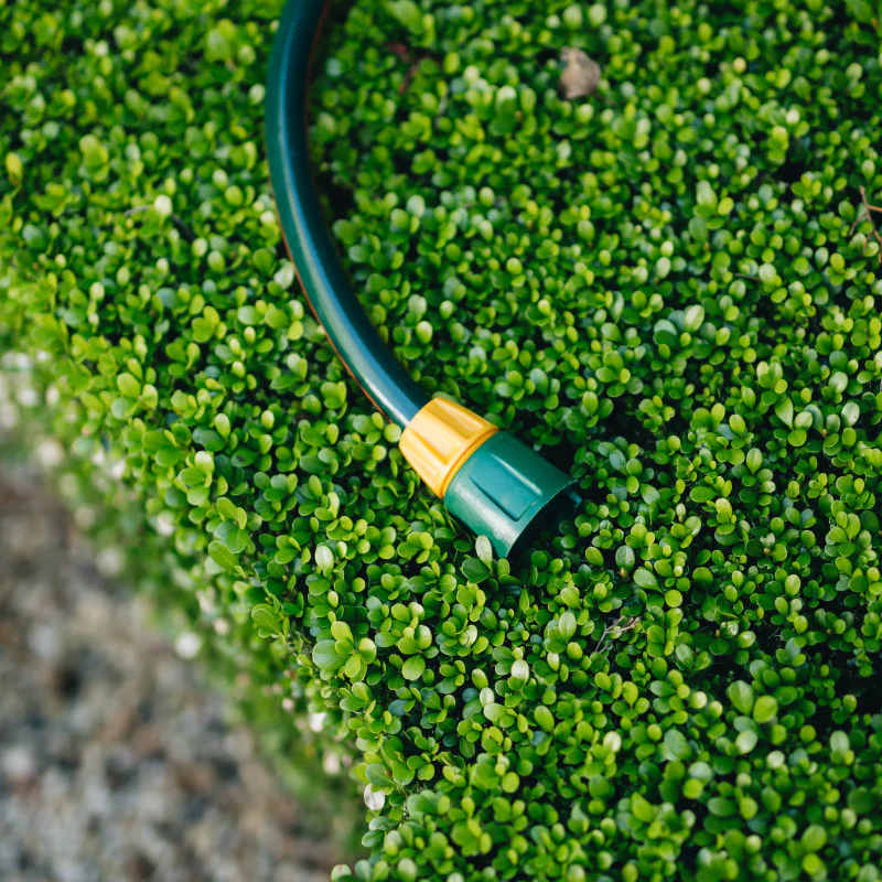 Hose End Connector - Image 9