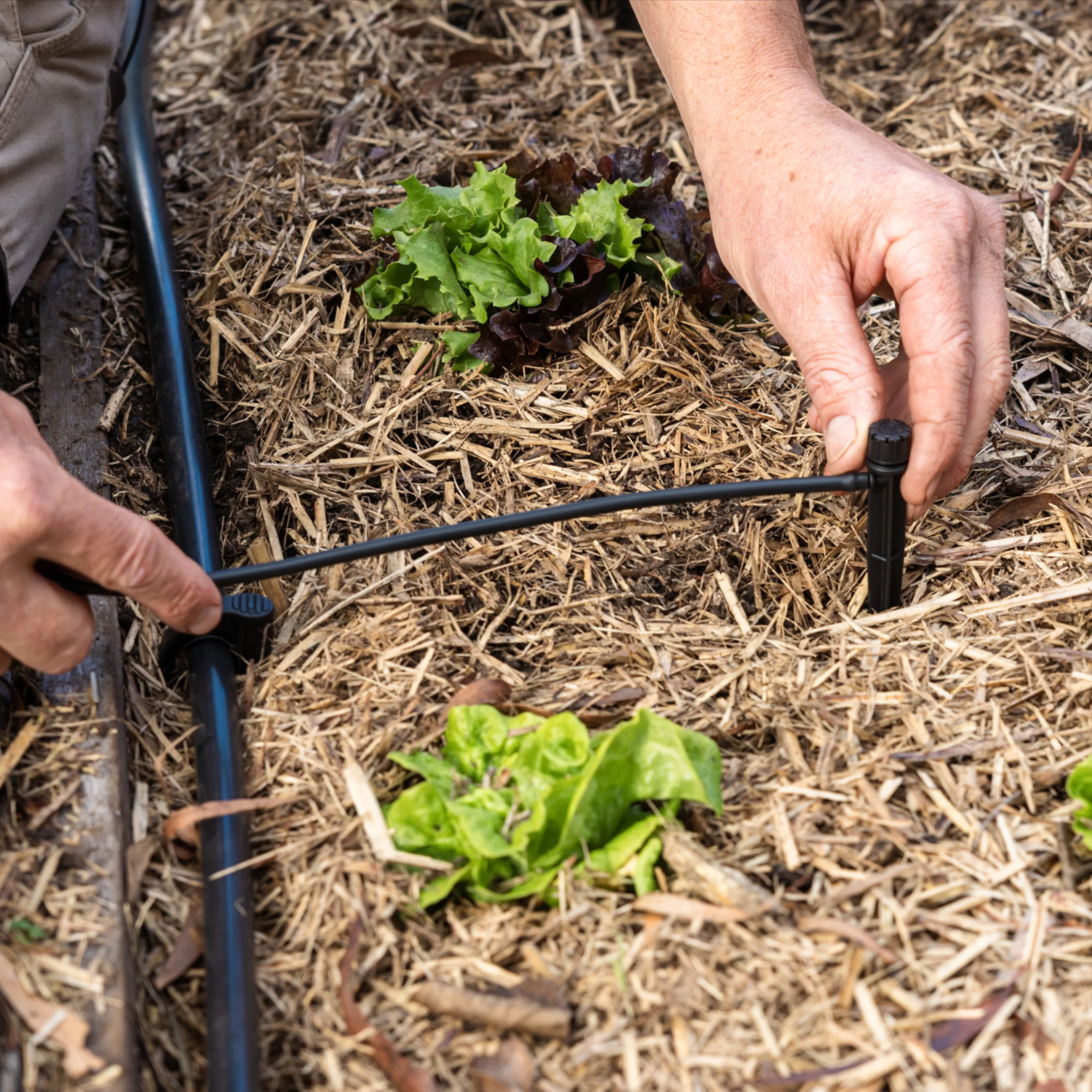 Irrigation Kit | 4mm Micro Tubing | 10m - Image 3