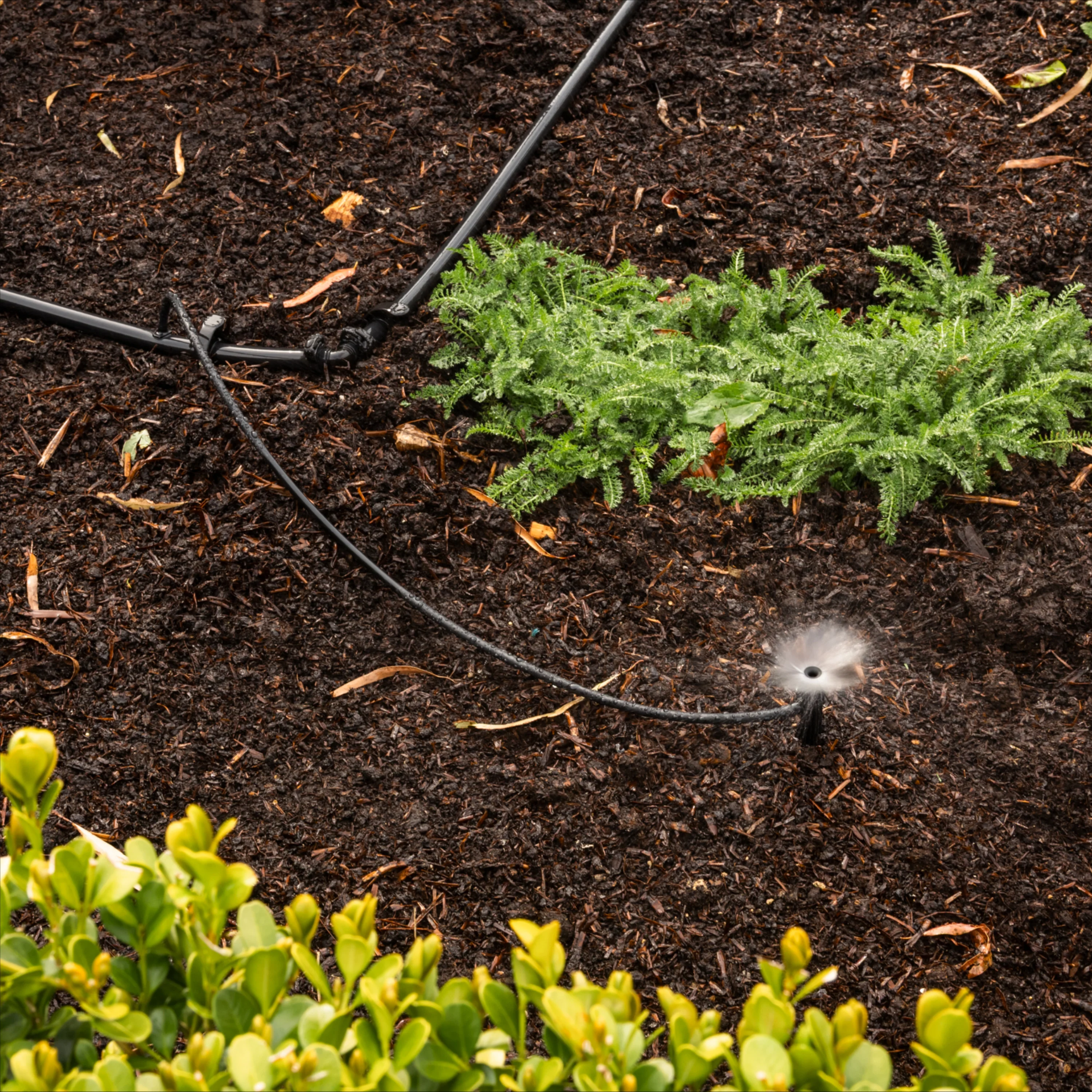 Irrigation Kit | 4mm Micro Tubing | 10m - Image 5