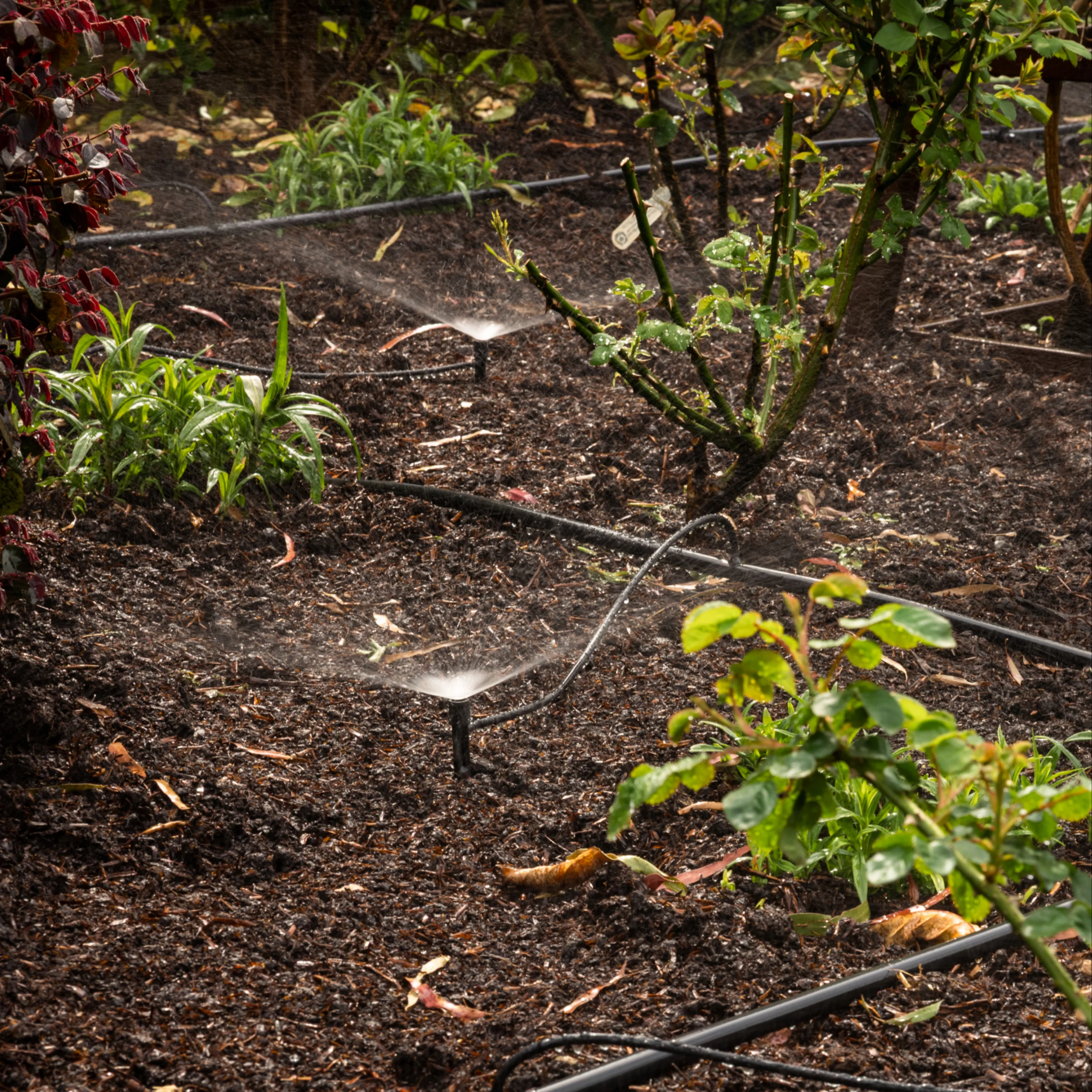 Adjustable Spray Irrigation Kit - Image 4