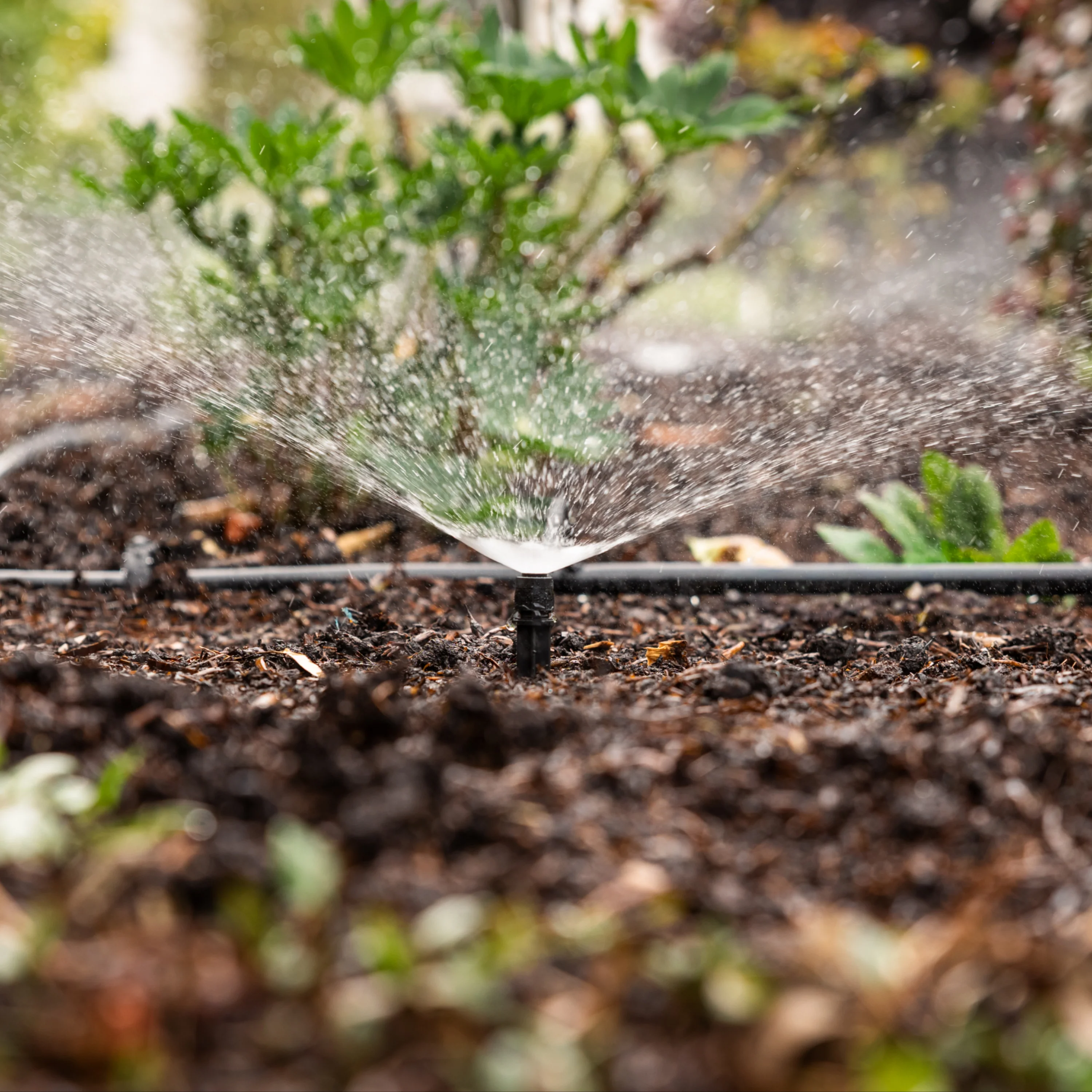 Adjustable Spray Irrigation Kit - Image 3