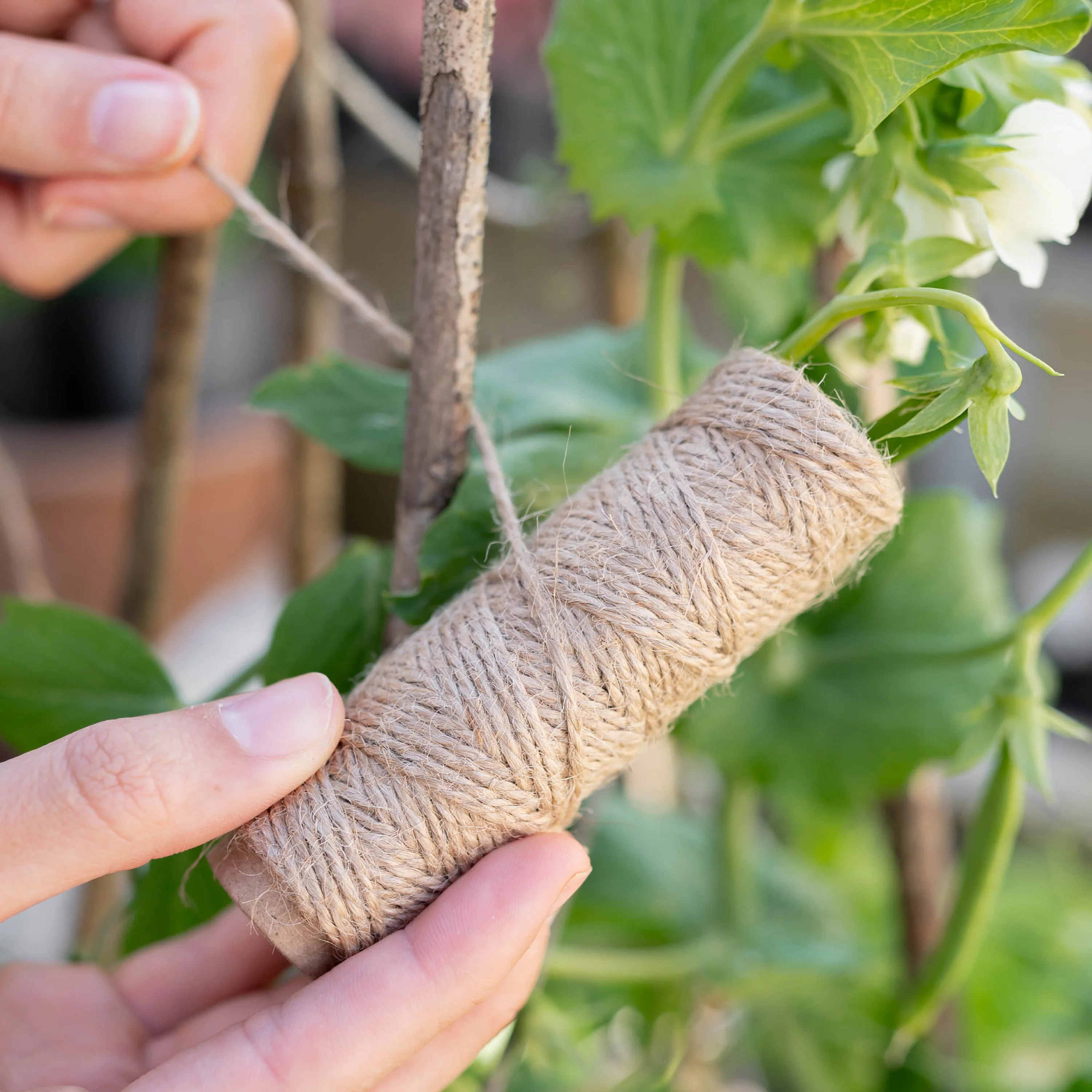 Jute Garden Twine | 25m - Image 5