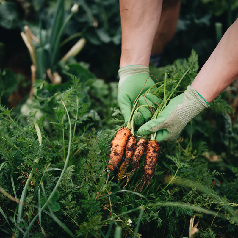 Lightweight Bamboo Garden Gloves - Image 5