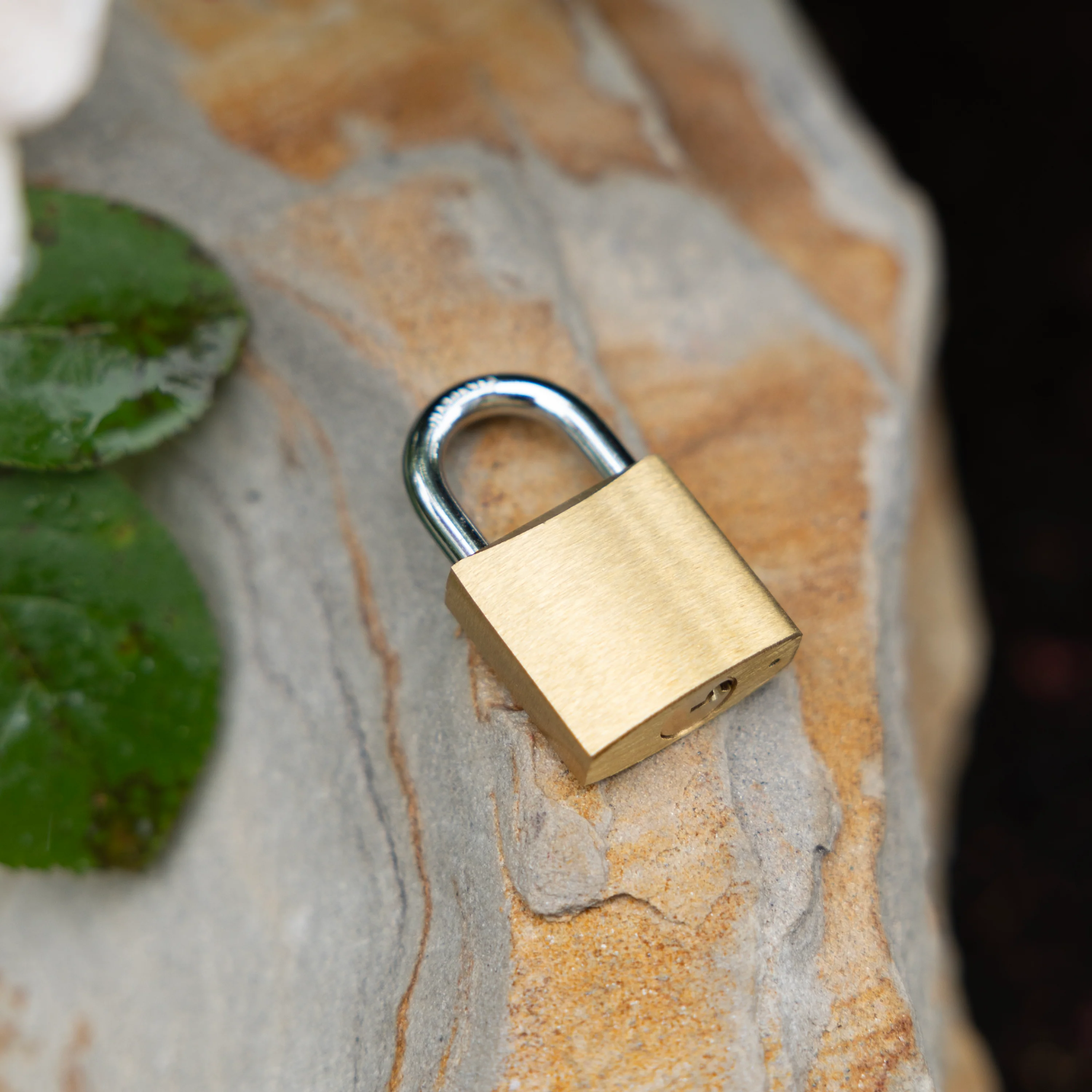 Padlock | Classic Series - Image 4