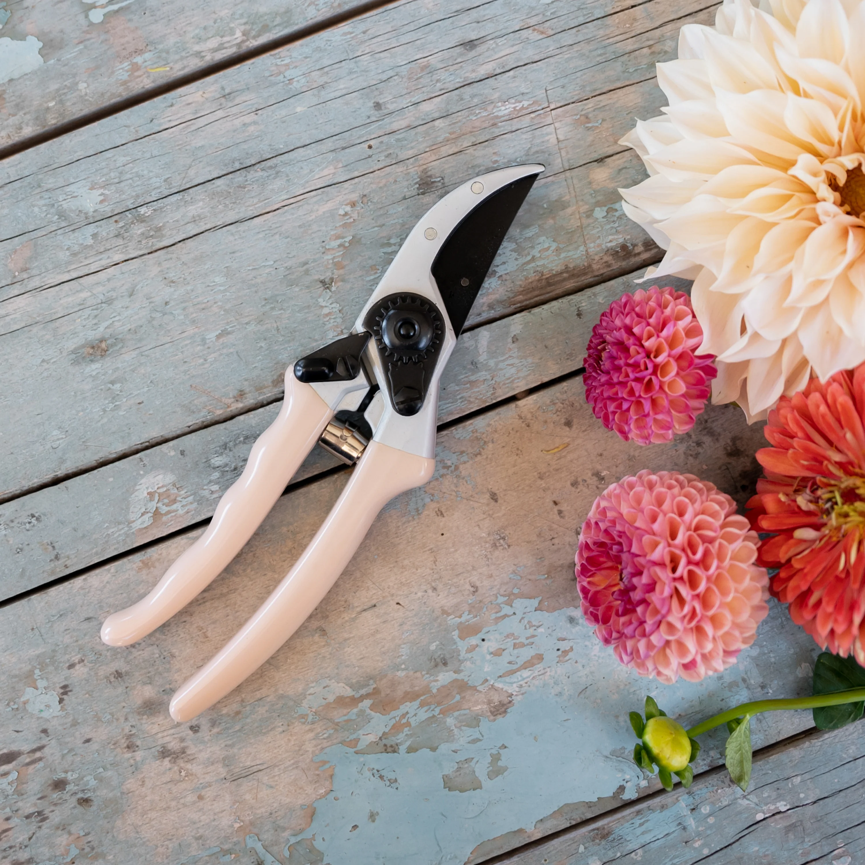 Secateurs 225mm | Peach - Image 5