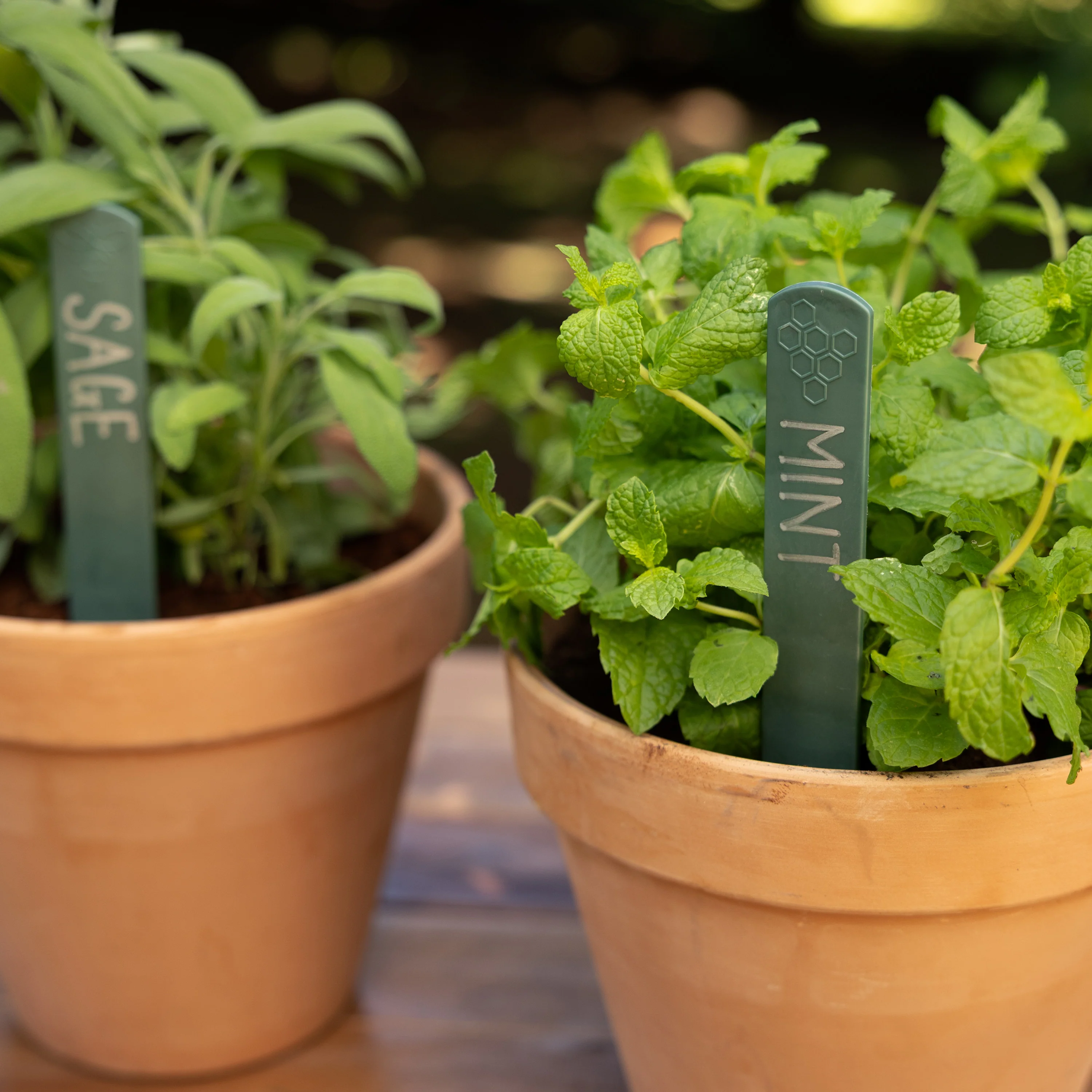 Recycled Plastic Plant Labels & Marker Pen Pack - Image 7