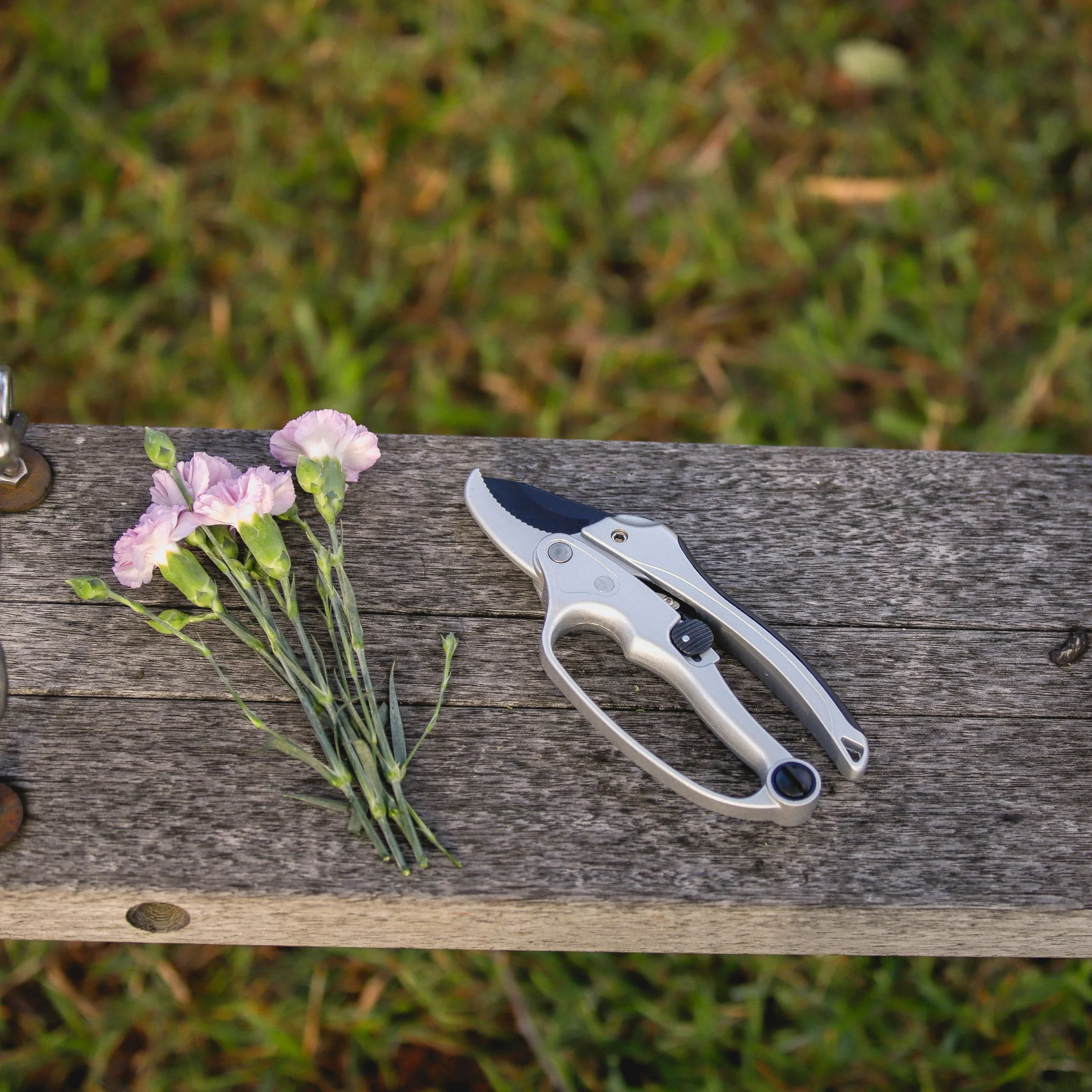 Ratchet Pruners - Image 3