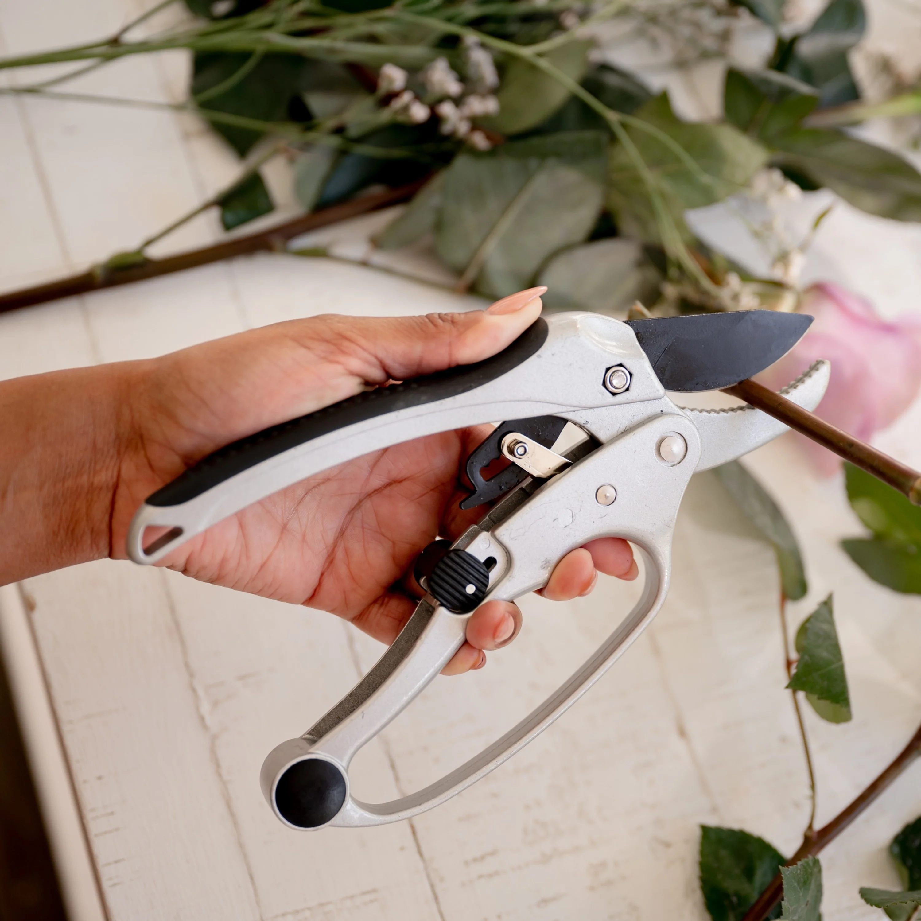 Ratchet Pruners - Image 4