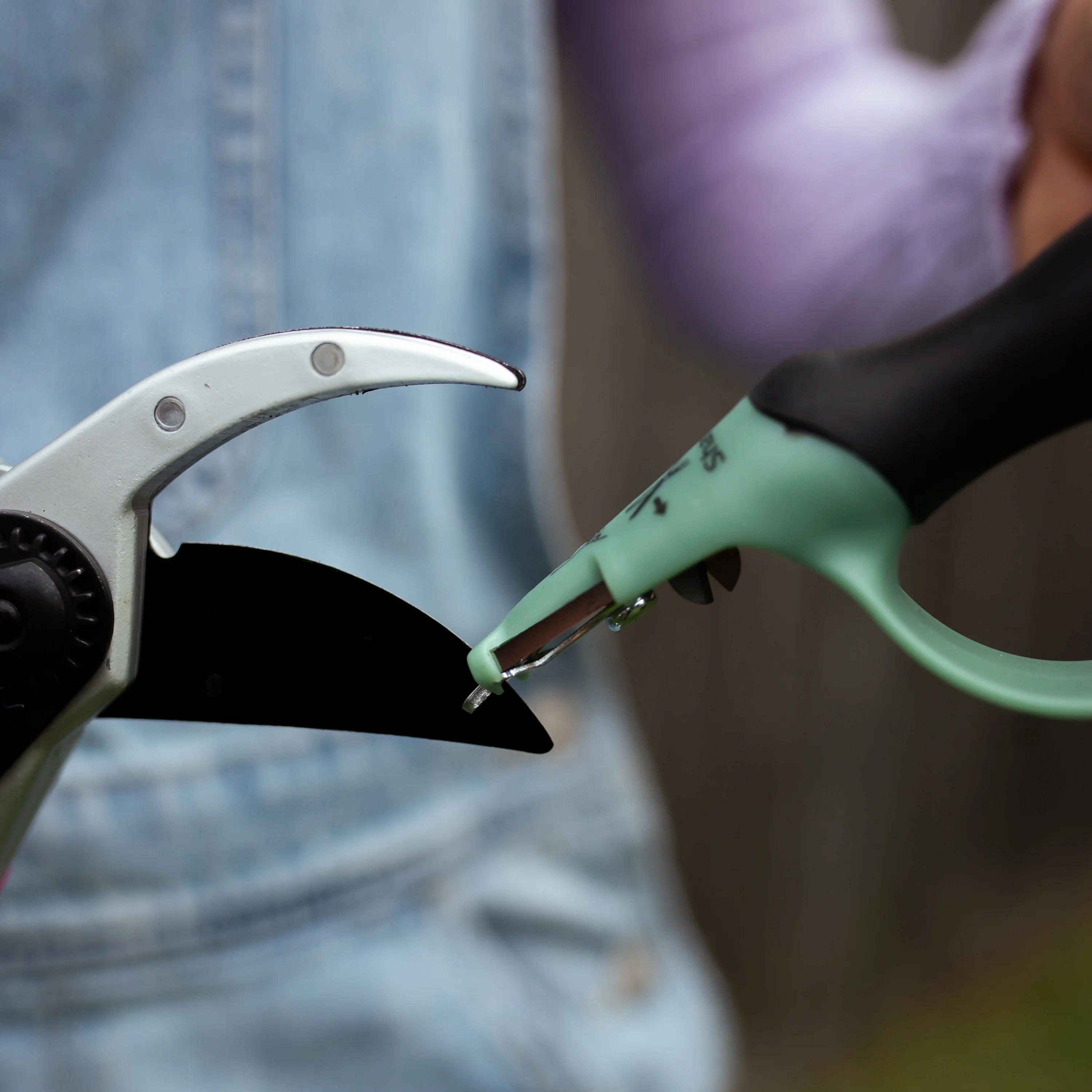 Sharpener - Image 4