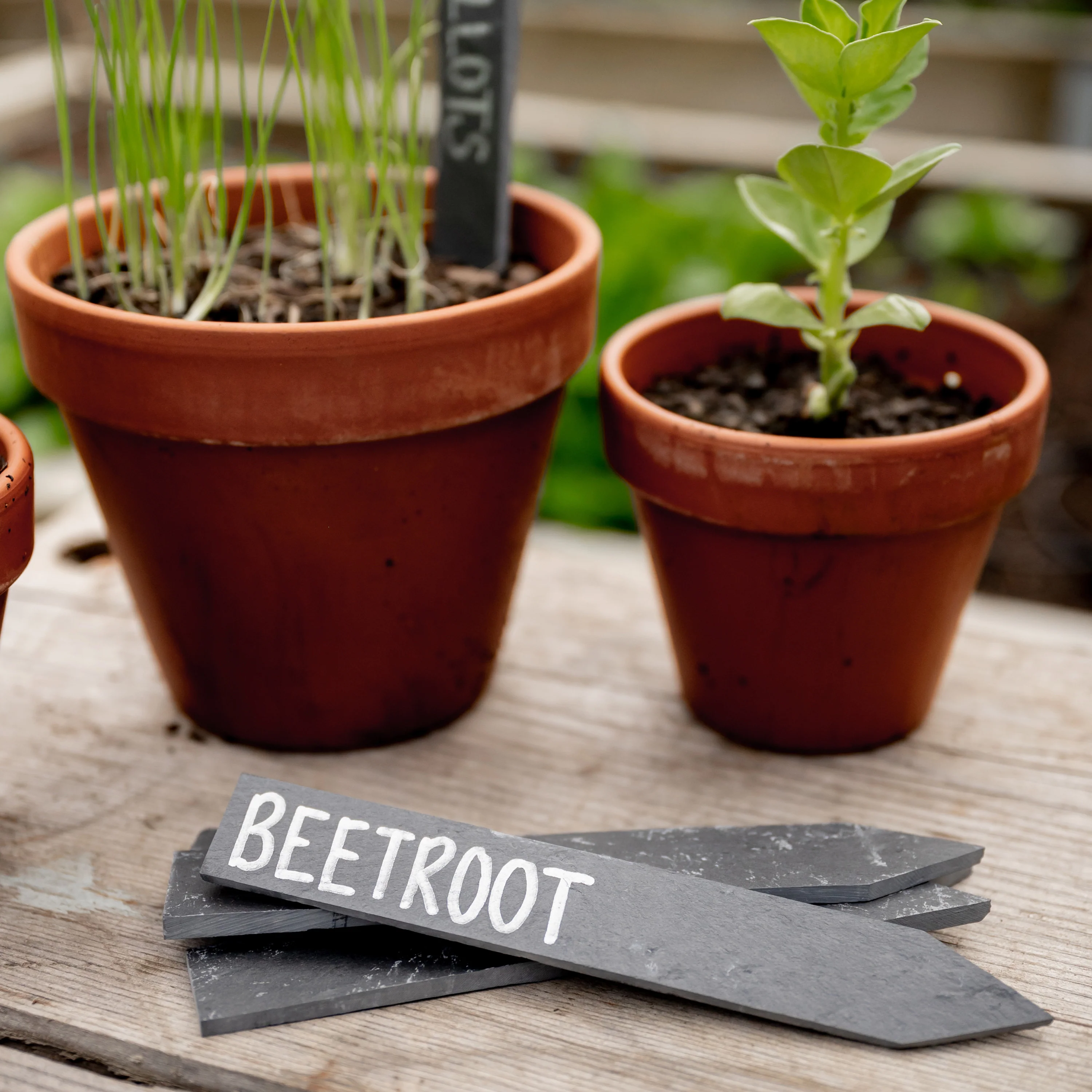 Slate Plant Labels - 5 pack - Image 3