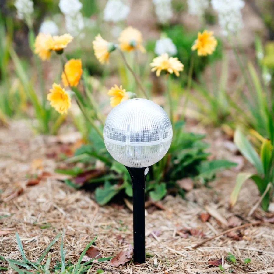 Solar Garden Globe | 2 Pack | RADIANCE - Image 4
