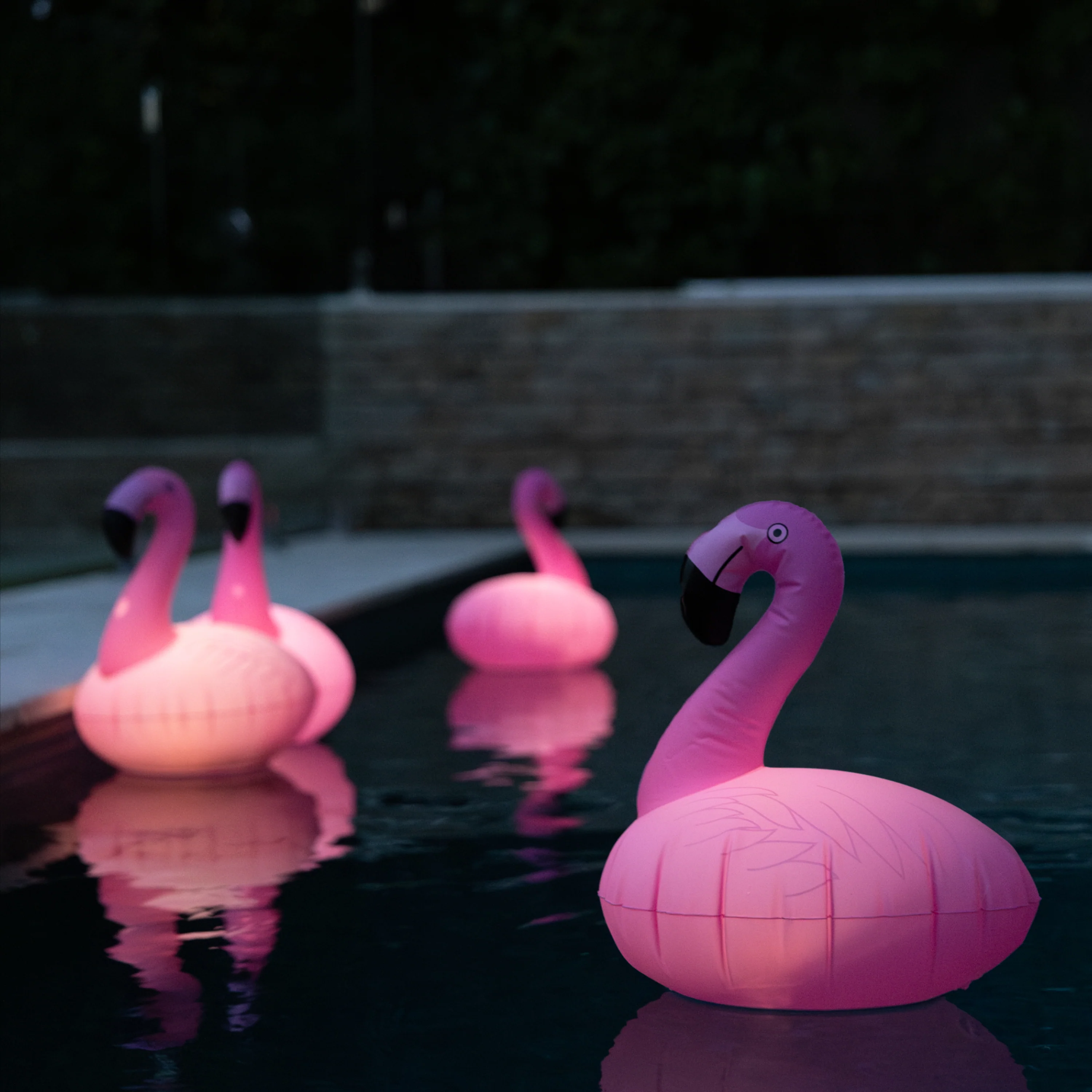 Solar Inflatable Pool Light | 5LED | 2 PACK | FLAMINGO - Image 3