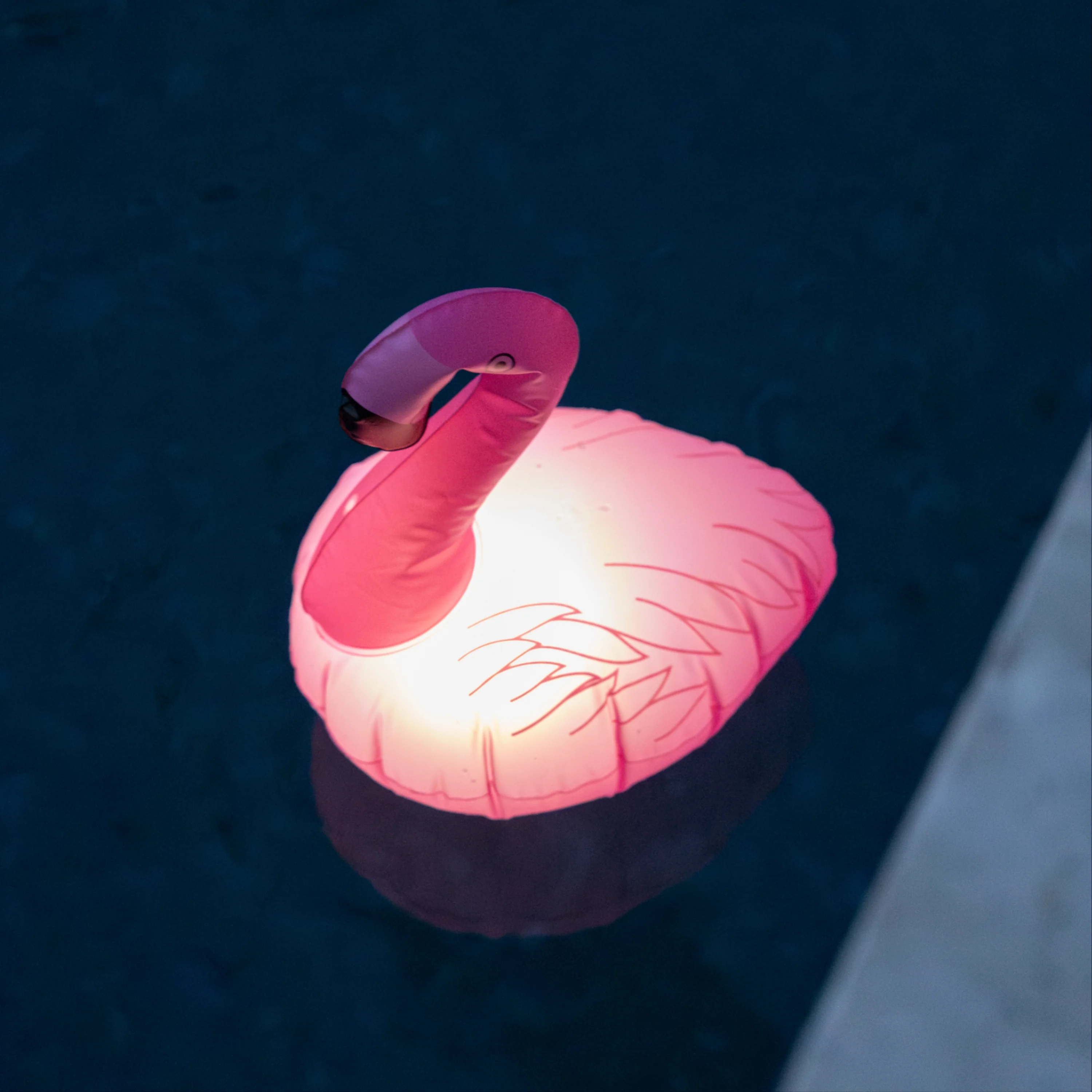 Solar Inflatable Pool Light | 5LED | 2 PACK | FLAMINGO - Image 4
