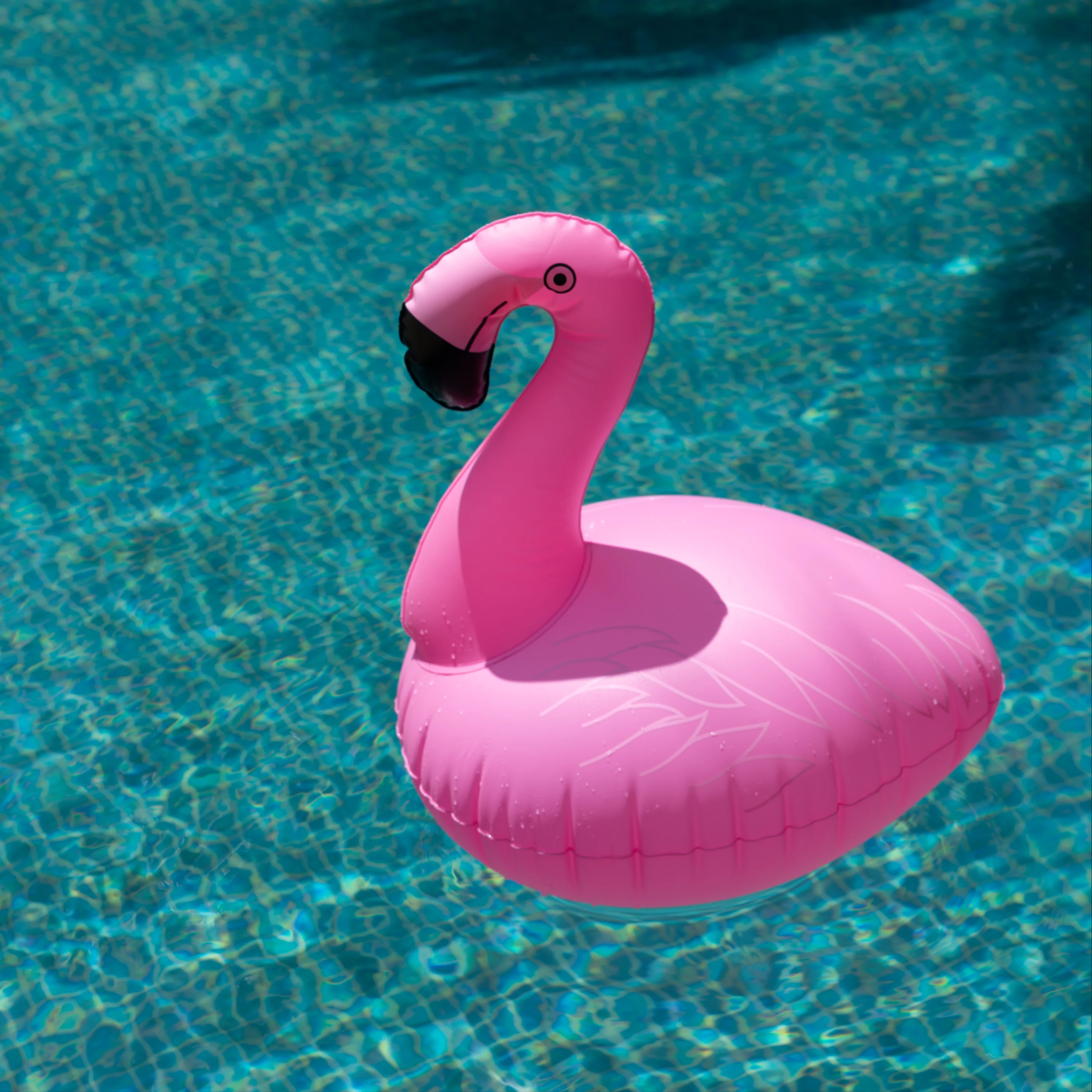 Solar Inflatable Pool Light | 5LED | 2 PACK | FLAMINGO - Image 5