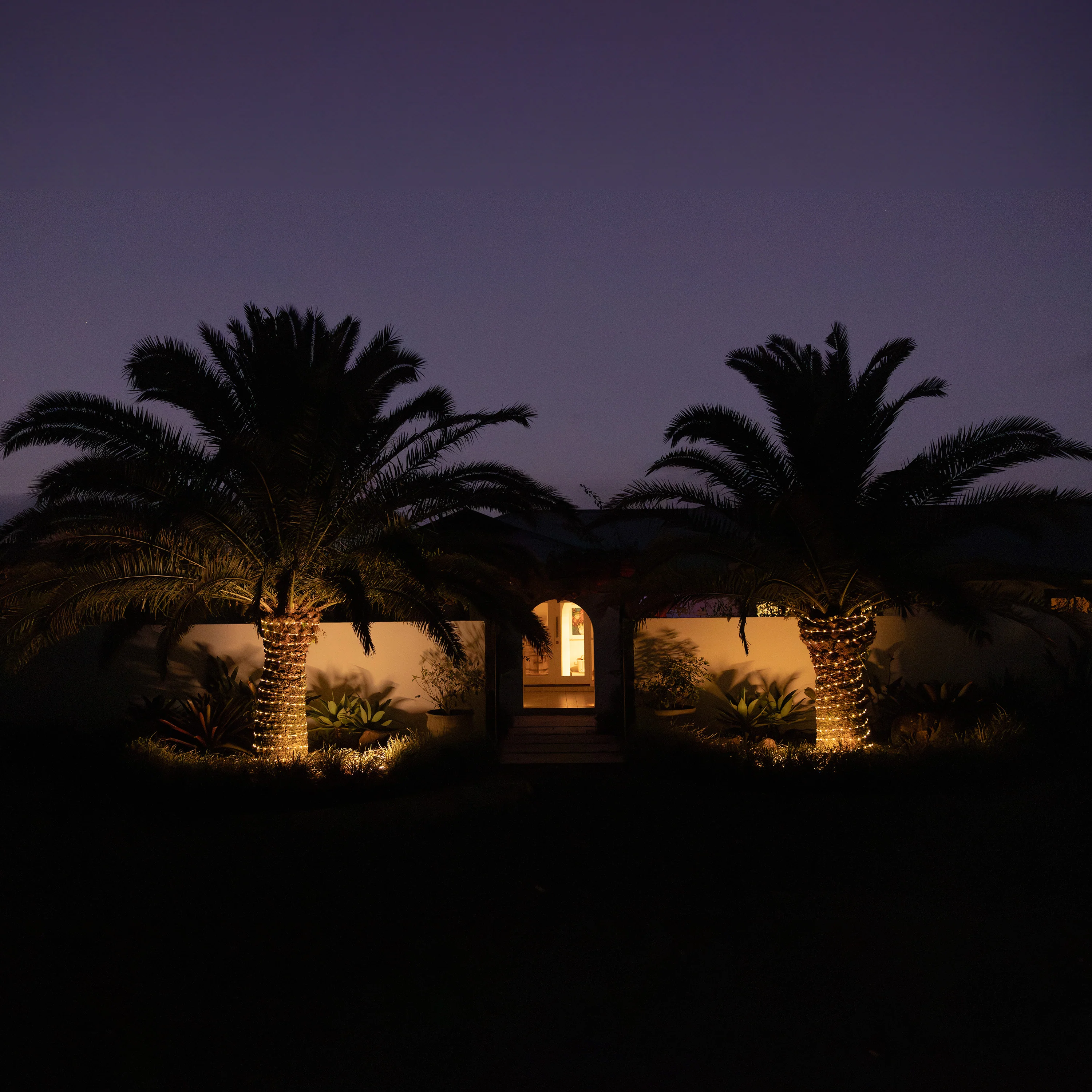 Solar LED PVC Rope Light | 30m | FLEX - Image 5
