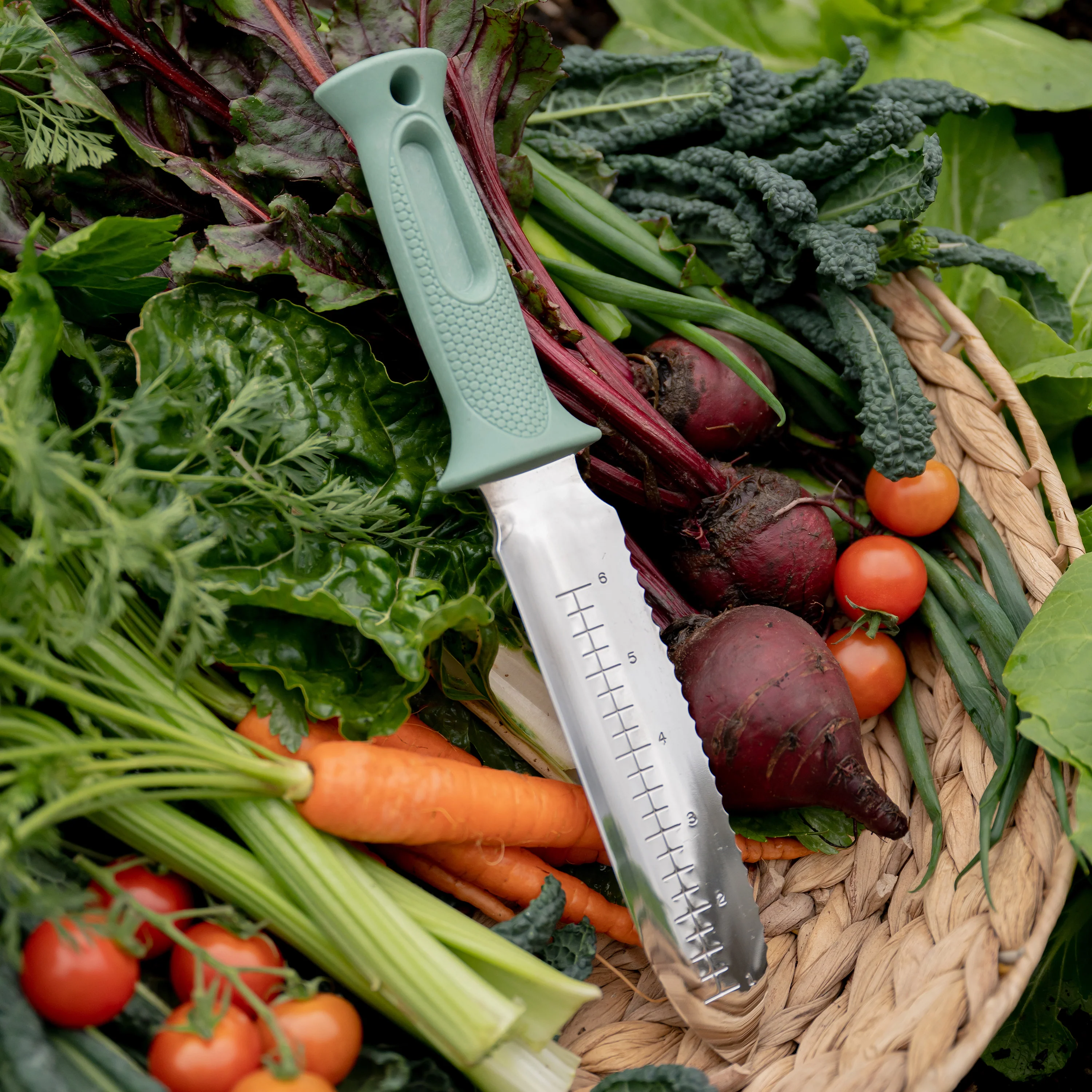 Stainless Steel Hori Hori Garden Knife - Image 6