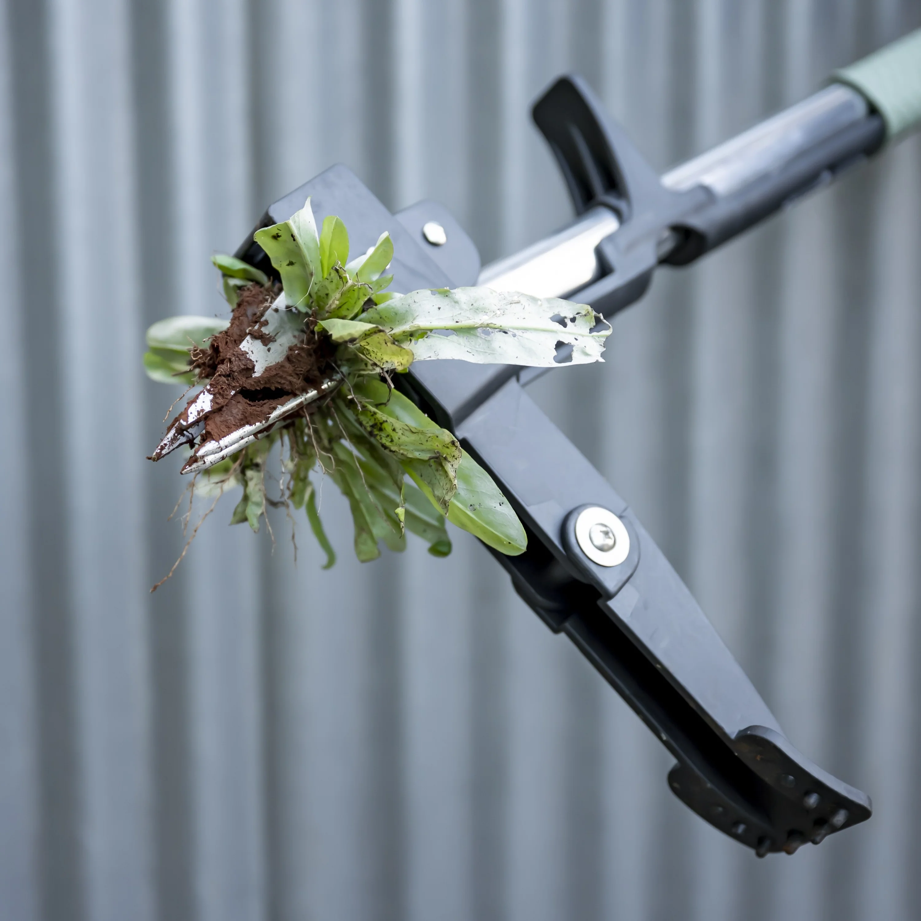 Stand-up Weed Puller - Image 3