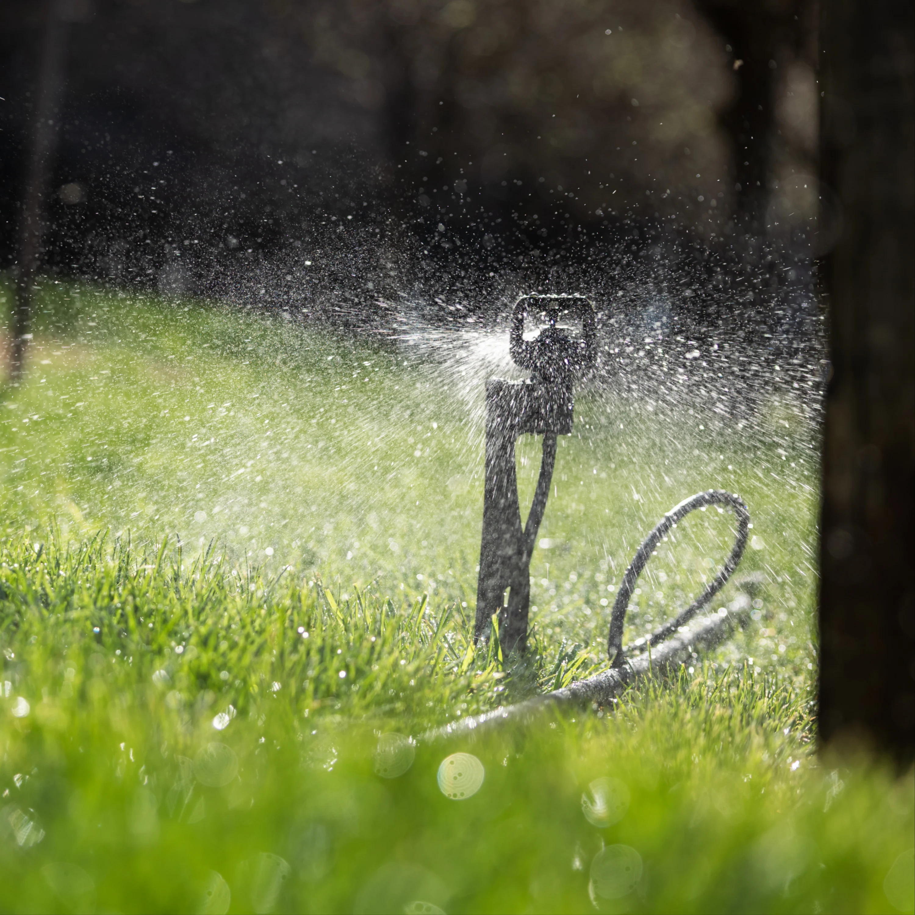 Under Tree Sprinkler Irrigation Kit - Image 3