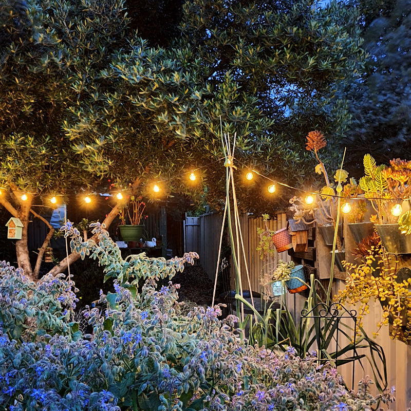 Solar Festoon Lights | Extension | Warm White | 25 Bulbs | FIESTA+ - Image 3