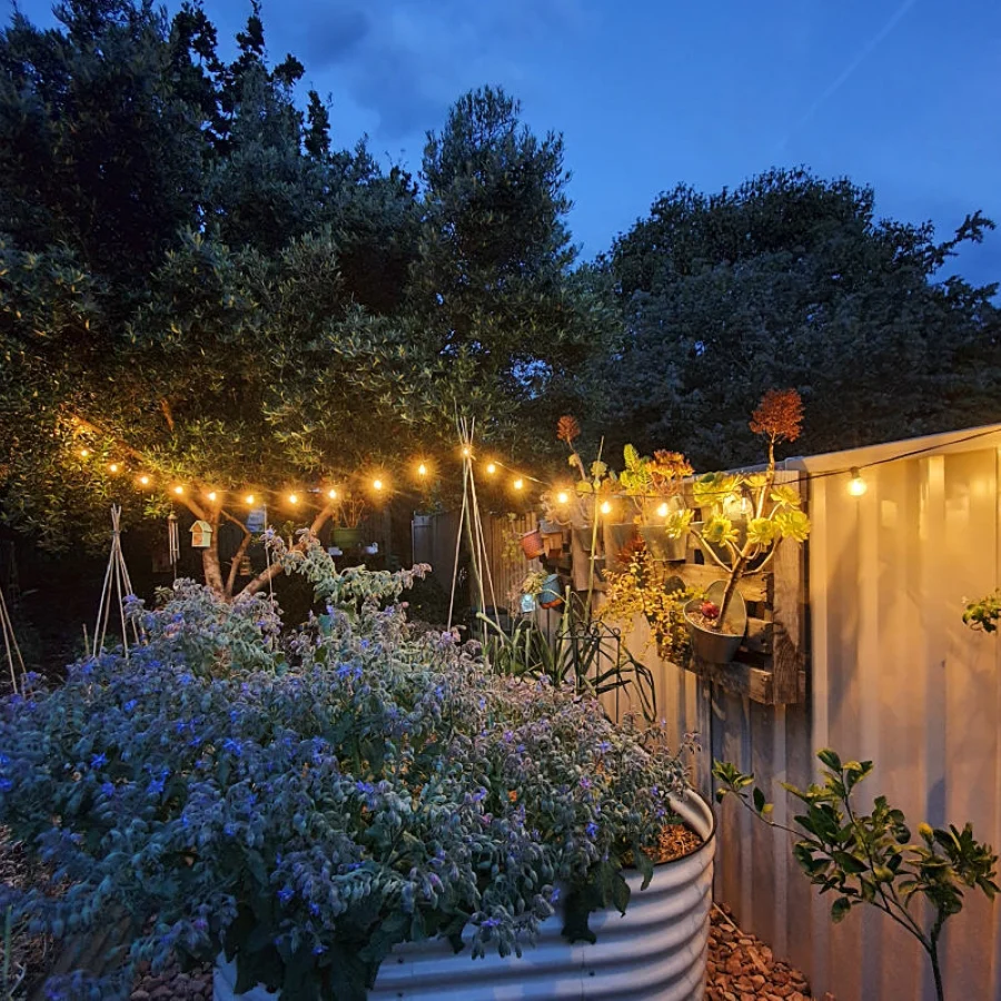 Solar Festoon Lights | Starter Set | Warm White | 25 Bulbs | FIESTA - Image 3